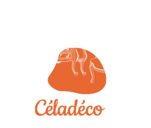 Logo minimaliste celadeco toulouse avec contour de meubles anciens blancs sur fond orange élégant